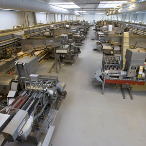 herring processing line