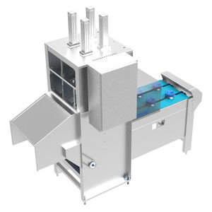 cabbage pitting machine