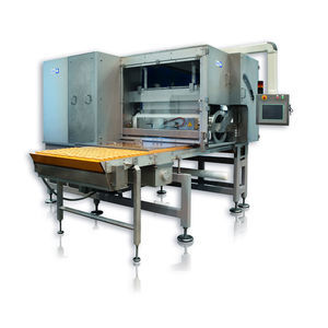 single station molding machine