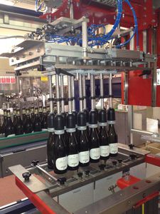 pick-and-place case packer 1