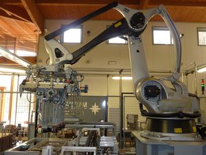 horizontal case packer 1
