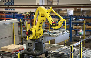 robotic Palletizing and packaging line 1