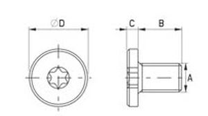 cylindrical head screw
