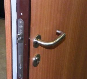 acoustic door