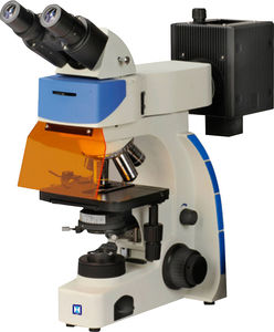 inspection microscope / optical / FLIM / digital camera