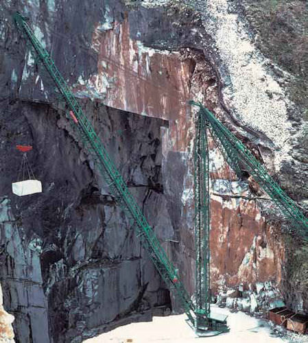 Fixed crane - Pellegrini - derrick / lifting
