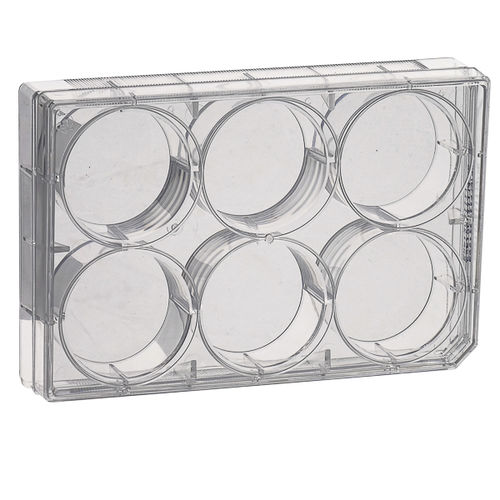 Cell culture microplate - CCPP series - LABBOX LABWARE S.L. - 96-well / 24-well / 12-well