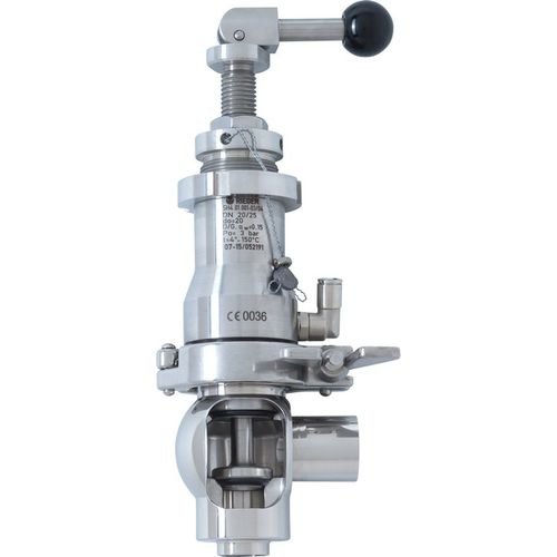 Gas Safety Valve Sh Gebr Rieger Gmbh Co Kg For Steam For