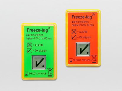 Freeze Tag