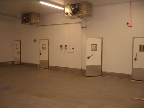 Swing door - DT 250 - Dortek Ltd. - for cold storage / industrial / for freezers
