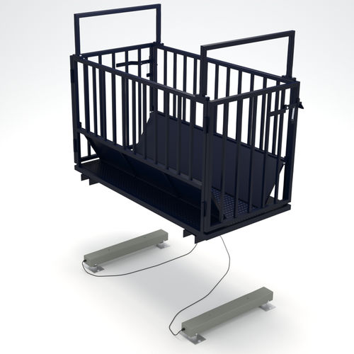 Platform scale - BRGH - GIROPES - with separate indicator / rugged / livestock