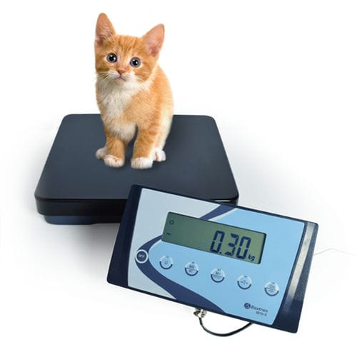 Platform scale - APS - GIROPES - with LCD display / with separate indicator / IP54