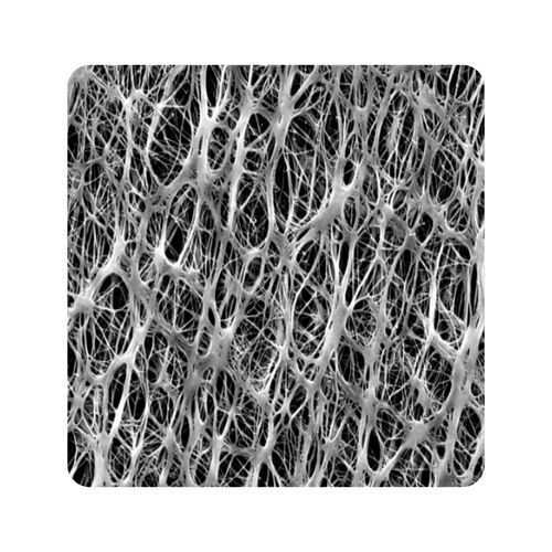 Filter membrane - FPL series - Membrane Solutions LLC - surface / PTFE
