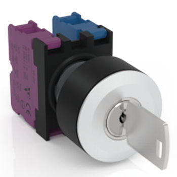 key lock switch - Wenzhou Jinhong Electrical Appliance