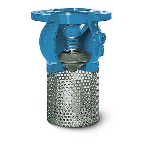 Piston check valve - ERHARD - cast iron / with strainer