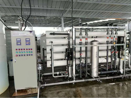 Process ultra-pure water purification unit - RO-EDI(30000L) - Shine Dew Water Equipment Co.,Ltd. - reverse osmosis