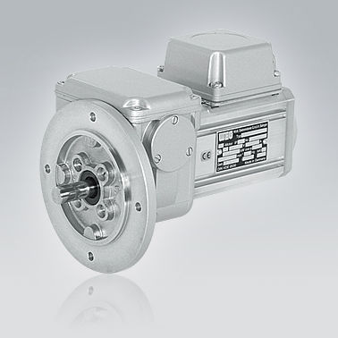 worm gear-motor - WEG Antriebe