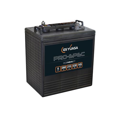 AGM battery - DCB145-6(ET) - GS Yuasa - 6 V / long life