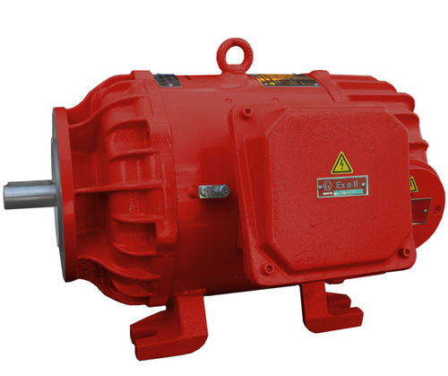 Synchronous motor - 3G, IC 410 - Winkelmann Elektromotoren GmbH & Co. KG - direct current / 220 V / squirrel cage