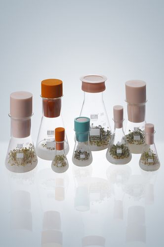 Conical plug - SILICOSEN® series - Hirschmann Laborgeräte GmbH & Co. KG - male / silicone