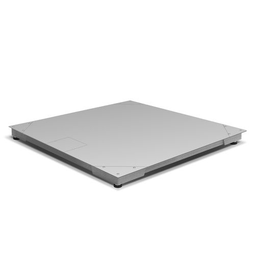 platform scale