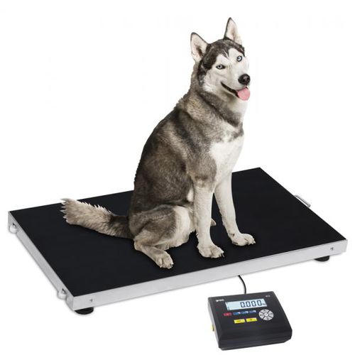 Animal scale - Gram Core Pluto - Gram Group - platform / counting / electronic