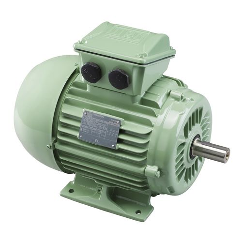 Synchronous motor - W22  - WEG Gear Systems GmbH - three-phase / 690 V / 400 V