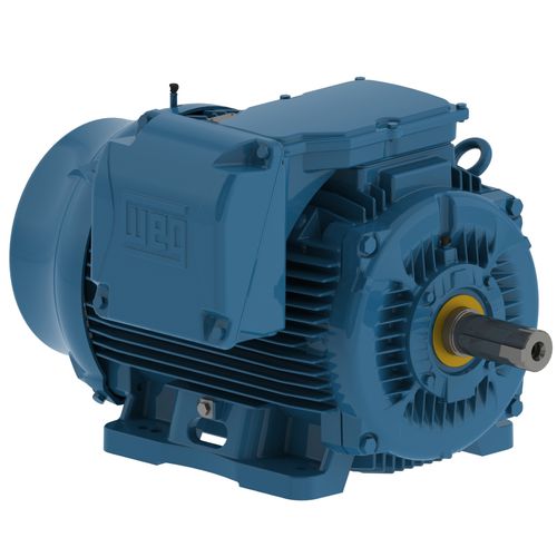 Three-phase motor - W22  - WEG Gear Systems GmbH - 460 V / cast iron / cast iron frame
