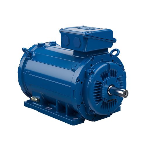 Three-phase motor - W22  - WEG Gear Systems GmbH - 690 V / cast iron / small