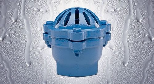 Threaded check valve - 357 - Flomatic - cast iron / with strainer