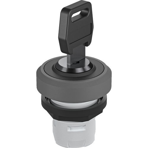 Key lock push-button switch - OKTRON®-R RKSSA12 - Georg Schlegel GmbH & Co. KG - non-illuminated / round