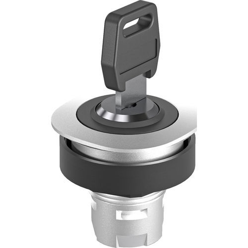 Key lock switch - RONTRON-Q-JUWEL RQJSSA12 - Georg Schlegel GmbH & Co. KG - IP65 / panel mount / illuminated