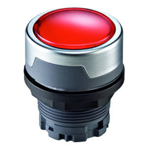 Panel-mount pilot light - RONDEX-M RMCN - Georg Schlegel GmbH & Co. KG - IP65 / round