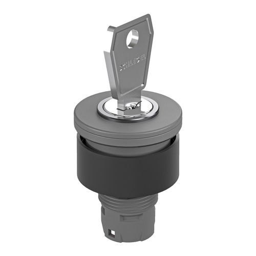 Key lock switch - RX-JUWEL RXJSSA12E - Georg Schlegel GmbH & Co. KG - IP65 / panel mount / non-illuminated