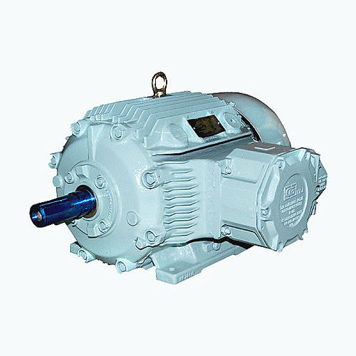 Asynchronous motor - CG Power Systems - AC / squirrel cage / flameproof