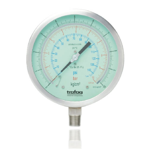 Test gauge - TMP 801 - Trafag AG sensors & controls