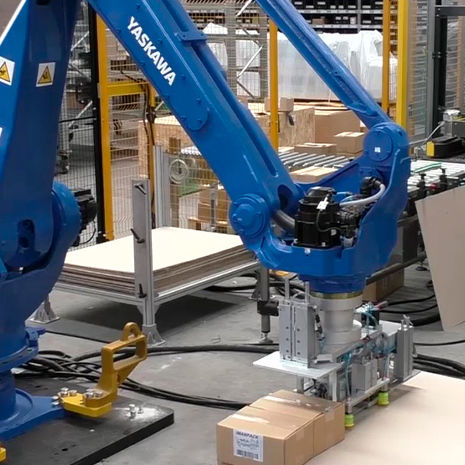 robotic Palletizing and packaging line - IMANPACK Packaging & Eco Solutions S.p.a.
