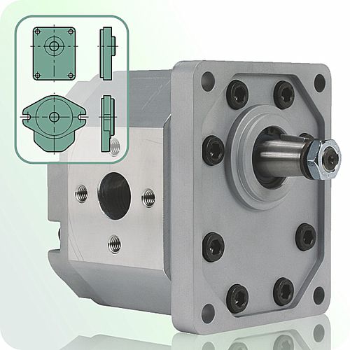 Gear hydraulic motor - ALM3 Series - jbj Techniques Limited