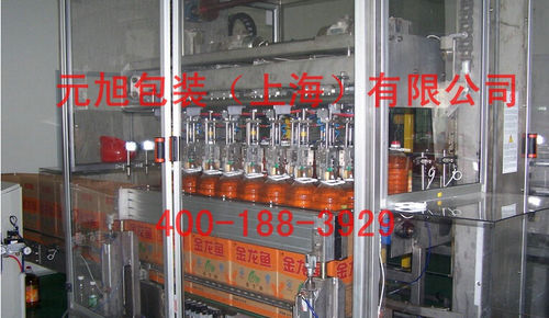 Pick-and-place case packer - Yuanxu Packing(shanghai) Machinery Co., LTD - top-loading / automatic / for bottles