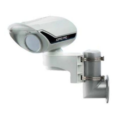 Presence detector - Xtralis LoiterTrace™ - Honeywell Video Systems - people / for indoor use / outdoor