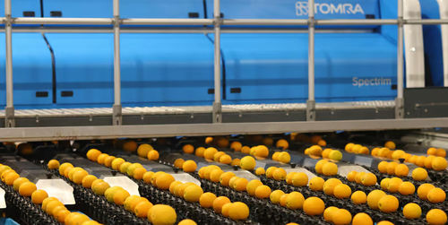 Fruits and vegetable grader - Spectrim with LUCAi&reg; - Tomra - for fruit / citrus / optical