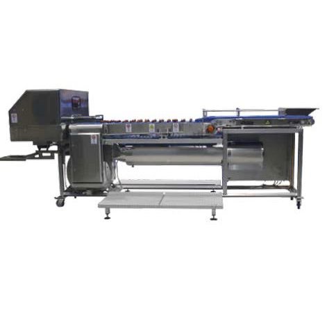 Automated decapper - Frazer - Turatti