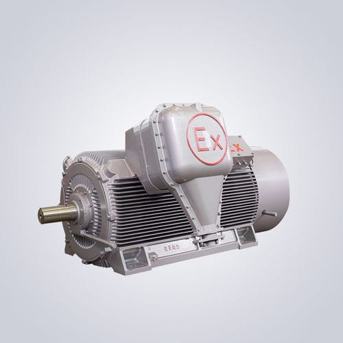 High-voltage motor - YBKS - Jiangsu Dazhong Electric Motor CO., Ltd - asynchronous / three-phase / 6000 V