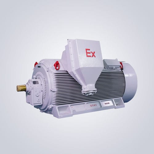 Non-sparking motor - Y2W - Jiangsu Dazhong Electric Motor CO., Ltd - asynchronous / three-phase / 6000 V