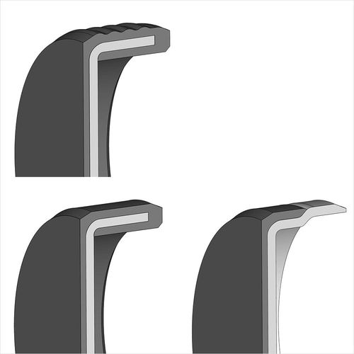 Lip seal - GS 01   - DICHTOMATIK SAS - bronze / PTFE / round
