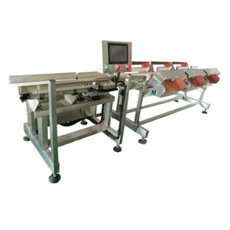Sorting machine for the food industry - DHWS400*150-4 - Zhuhai dahang intelligent equipment co., LTD - process