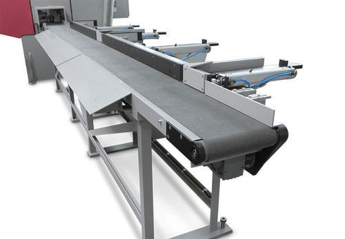 Conveyor belt - VA-L - Behringer GmbH | Maschinenfabrik und Eisengießerei