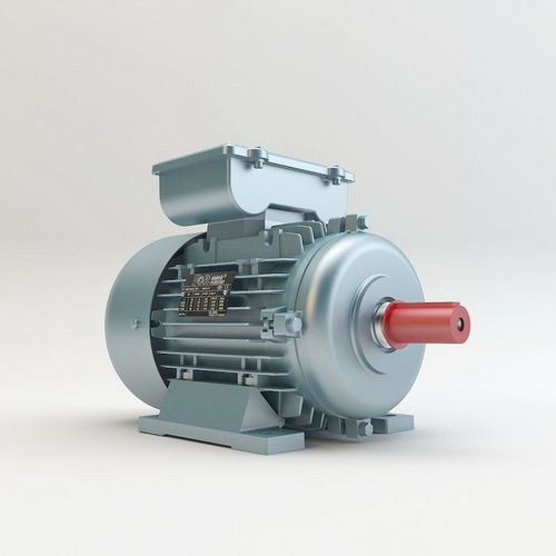 Asynchronous motor - VM100 - Volt Elektrik Motor - AC / single-phase / 220 V