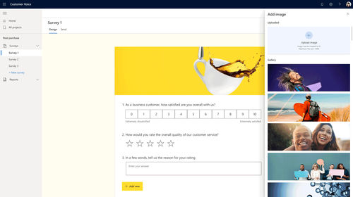 Management software - Customer Voice - Navision - analysis / tracking / real-time