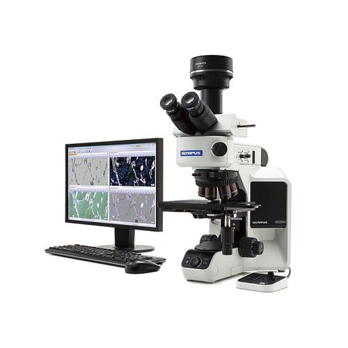 Upright microscope - BX53M - Evident - Olympus Scientific Solutions - optical / measuring / industrial